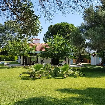 Luxurious Costal In Chalkidiki Βίλα Πευκοχώρι